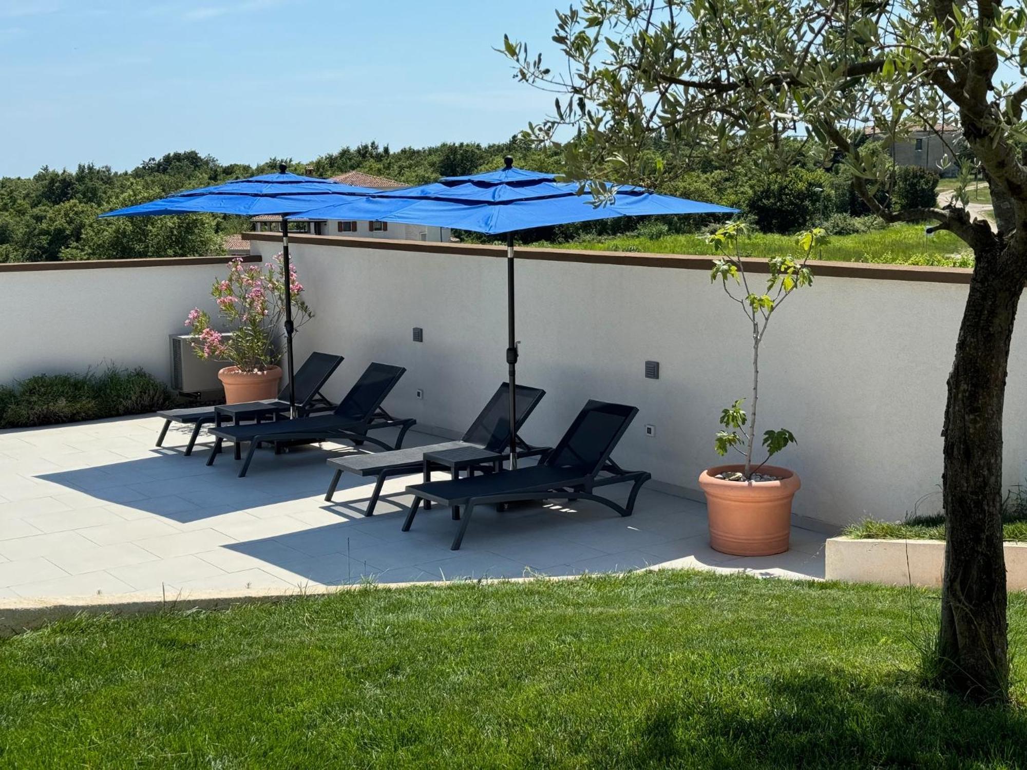 Villa Victoria Istra - Heated Pool Nova Vas  Eksteriør billede